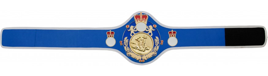 QUEENSBURY PRO LEATHER MMA CHAMPIONSHIP BELT - QUEEN/BLUE/S/MMAG  -10+ COLOURS